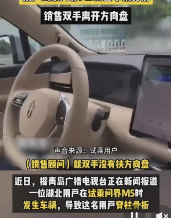 问界M5出事了！网友试乘出车祸销售双手离开方向盘盖车衣为啥(图7)