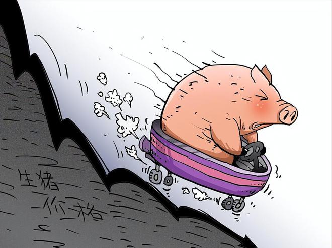 一夜“飘绿”猪价“失控”下跌!附:10月29日猪价(图1)