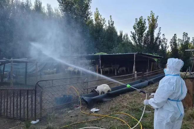 东高村镇开展“大清洗、大消毒”专项行动(图1)