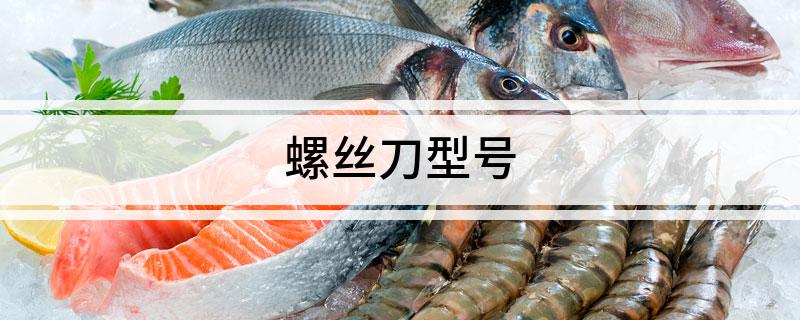 螺丝刀型号(图1)