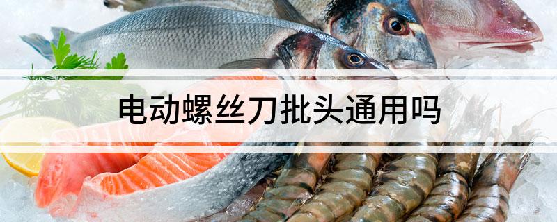 电动螺丝刀批头通用吗(图1)