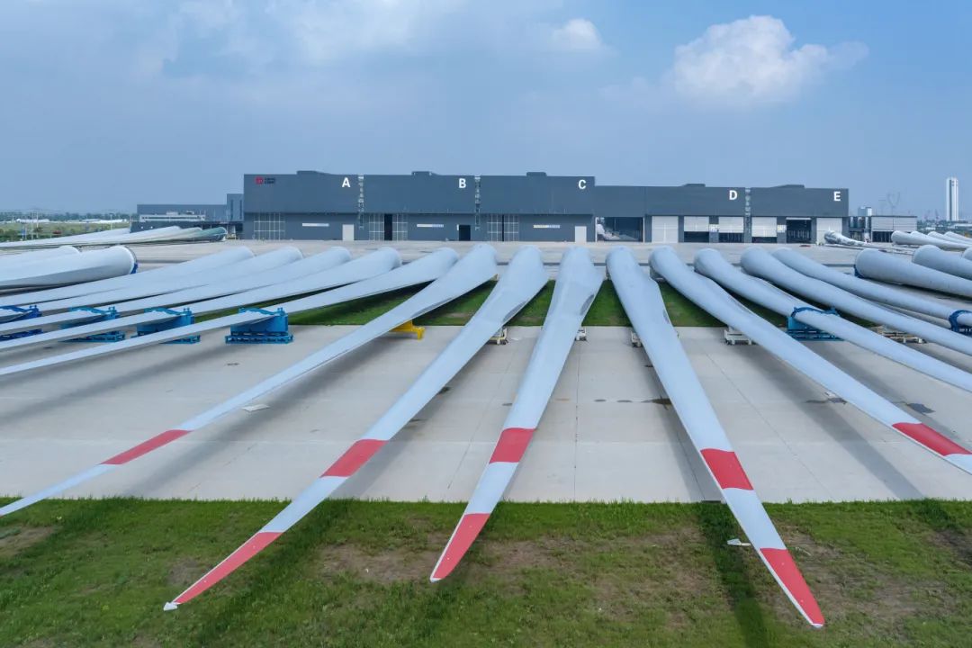 江苏盐城:逐“绿”向“新”“碳路先锋”奋楫笃行(图2)