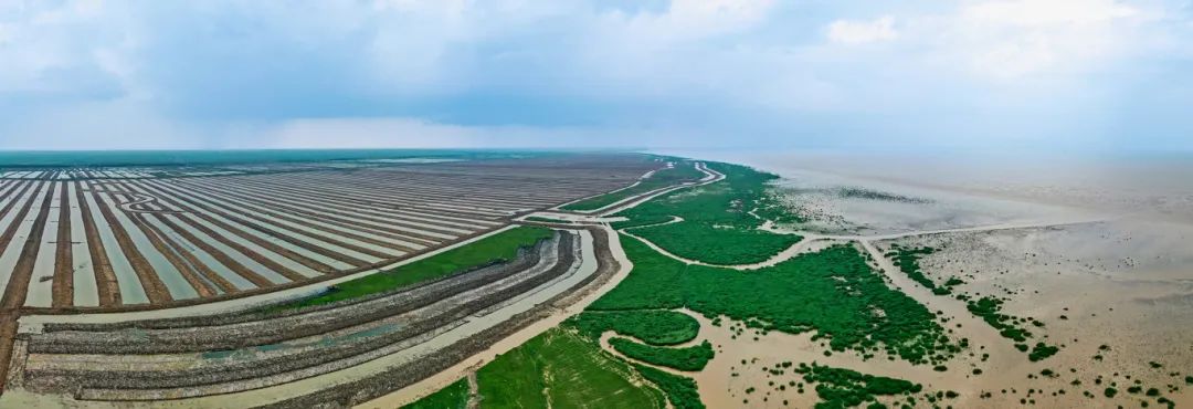 江苏盐城:逐“绿”向“新”“碳路先锋”奋楫笃行(图3)