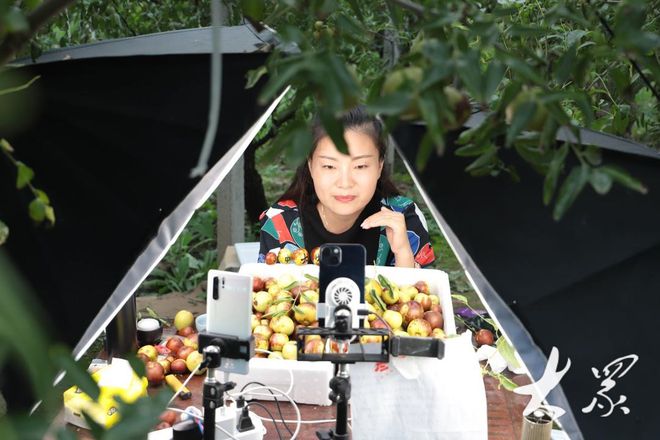 产业带就业一棵树“长”出15万岗位(图4)