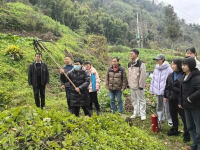 雨城：多措并举齐发力筑牢森林防火安全屏障(图1)