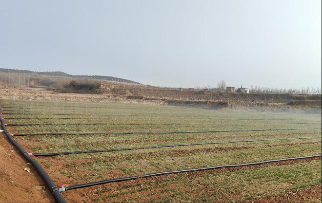 肥城桃园镇：高效灌溉拧紧农业“水龙头”(图1)