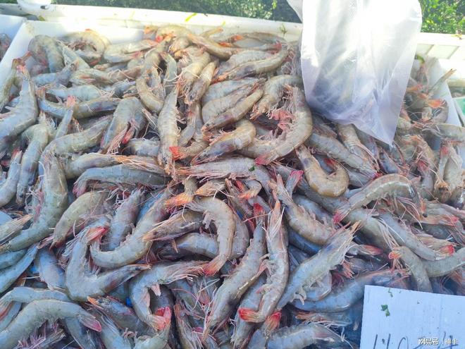 曾经的3个“爆款”年货到现在的销售遇冷因为人都懂行了吗？(图4)