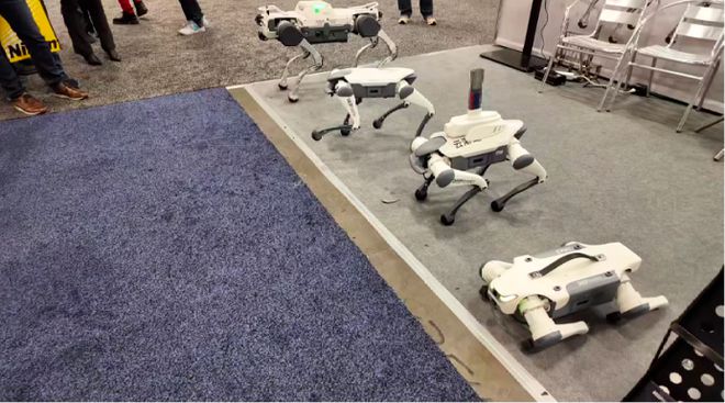 半壁江山尽染中国红！2025CES展会中国企业引领新风尚！(图6)