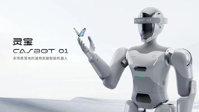 半壁江山尽染中国红！2025CES展会中国企业引领新风尚！(图13)