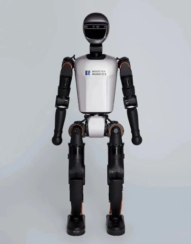 半壁江山尽染中国红！2025CES展会中国企业引领新风尚！(图8)