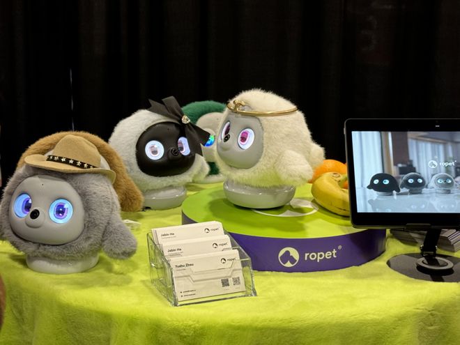 半壁江山尽染中国红！2025CES展会中国企业引领新风尚！(图27)