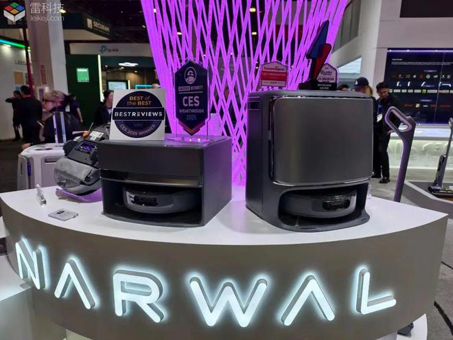 半壁江山尽染中国红！2025CES展会中国企业引领新风尚！(图21)