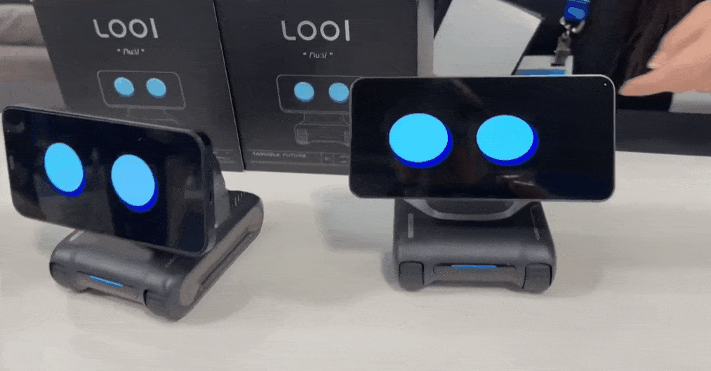 半壁江山尽染中国红！2025CES展会中国企业引领新风尚！(图28)