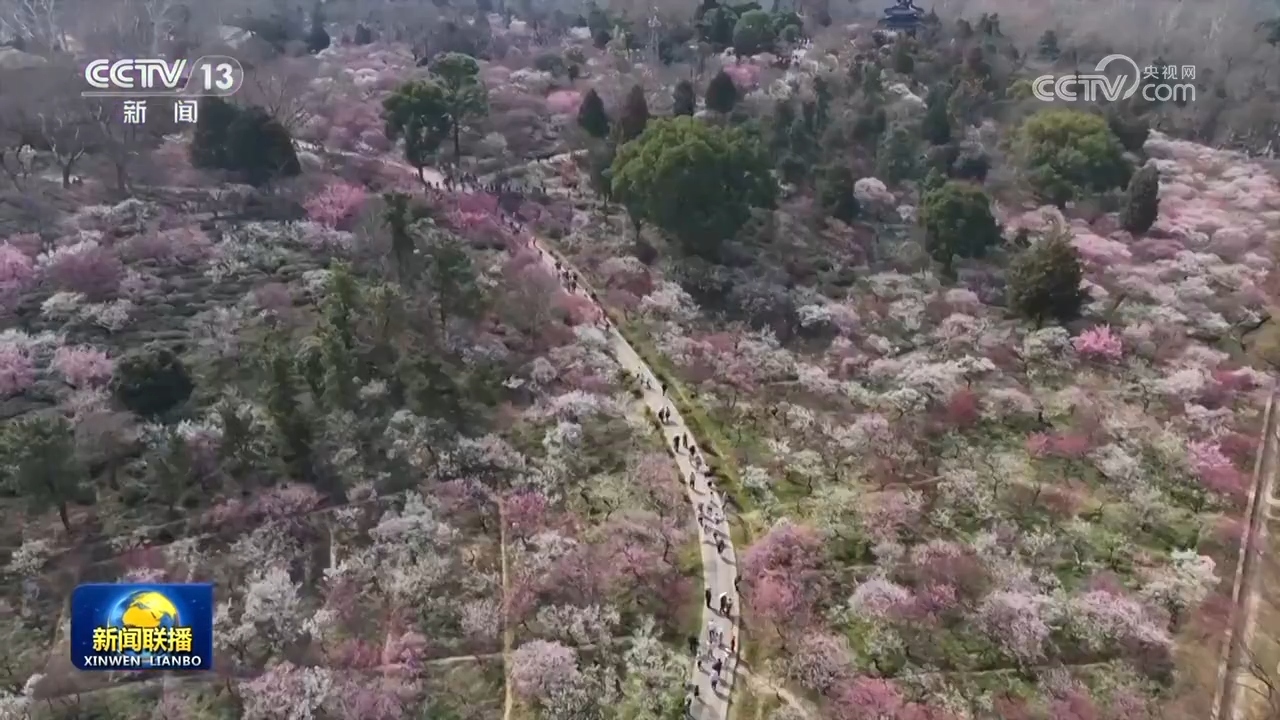 多领域齐头并进促发展中国经济活力涌动开新局(图4)