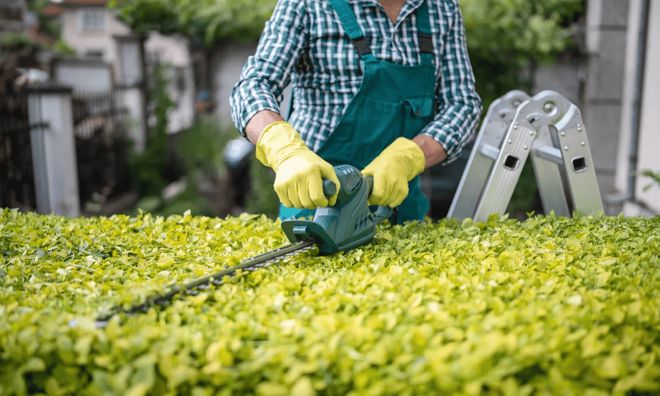 热度飙升4250%个性化改造催生俄罗斯千亿级DIY市场(图5)