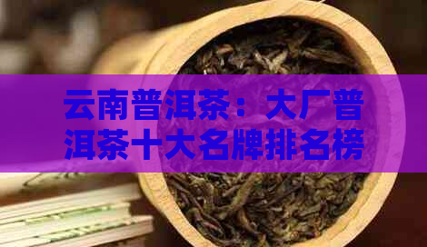 云南普洱茶：大厂普洱茶十大名牌榜(图1)