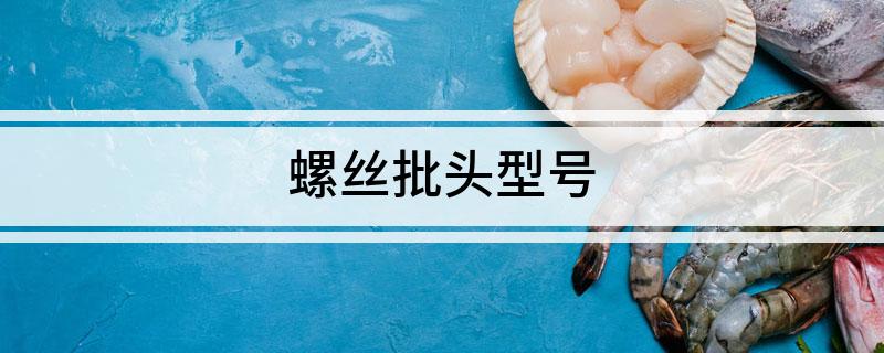 螺丝批头型号(图1)