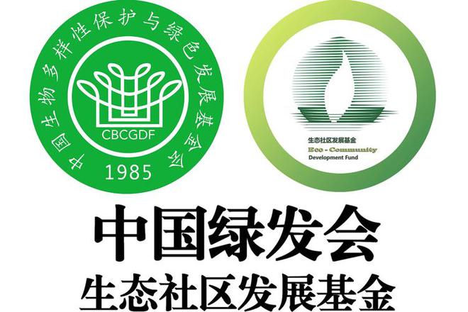 哈佛蒋雨融事升级！更多黑料被扒父亲背景不一般绿发会受牵连(图15)