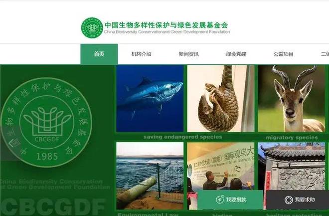 哈佛蒋雨融事升级！更多黑料被扒父亲背景不一般绿发会受牵连(图21)