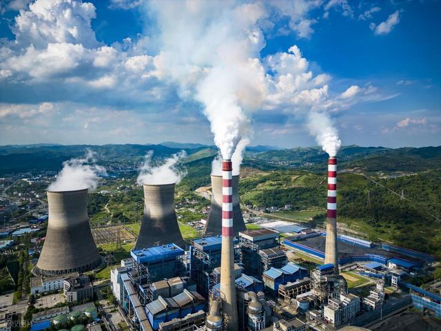 老外这次真被整不会了!中国的工业剪刀割起韭菜来到底有多离谱?(图16)