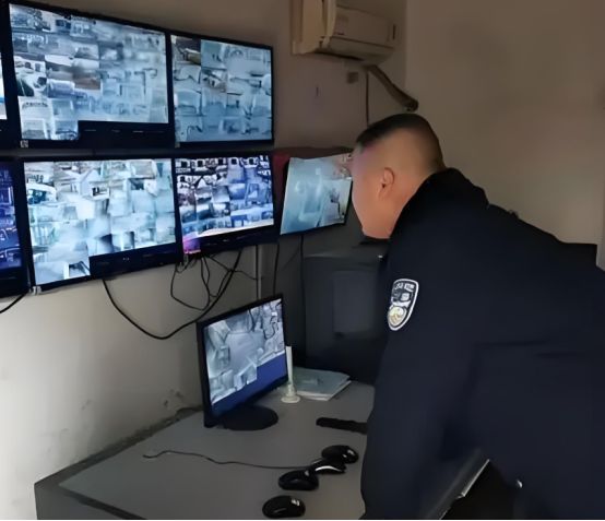 女子花40万买爬宠3个月后失联警方破门而入屋中只剩3米长缅甸莽(图3)