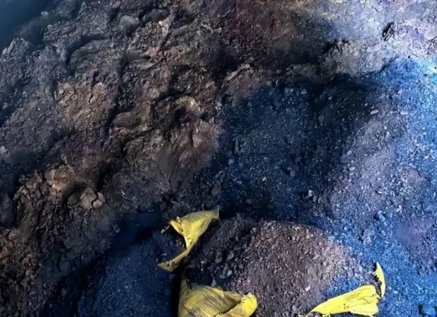 特朗普痛下决心：宁可舍弃1000亿的大生意也不能让中国断了后路(图7)