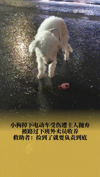 中国女子盗窃法国博物馆12斤金块：被捕时正准备飞往上海行李中藏有1公斤熔金碎片(图7)