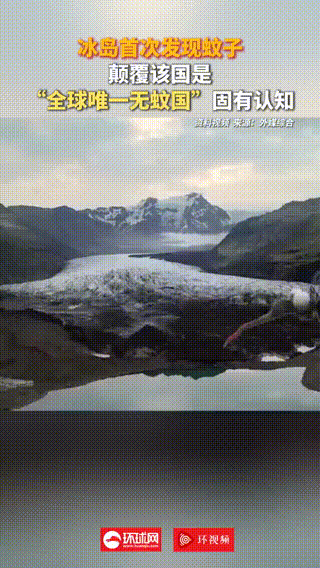 中国女子盗窃法国博物馆12斤金块：被捕时正准备飞往上海行李中藏有1公斤熔金碎片(图8)