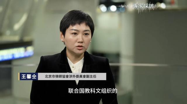 鉴证|卢浮宫安保怎么了?追赃倒计时嫌犯被抓后能带回珍宝吗?(图18)