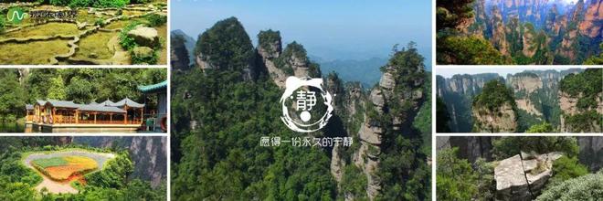 张家界5人被抓！(图1)