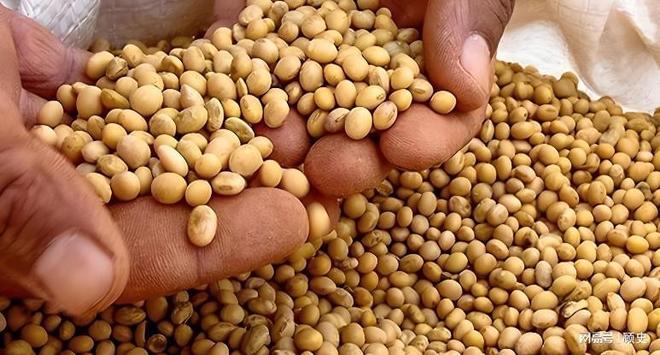 阿根廷欲走荷兰路线?扣押中方零件中阿合作突然按下暂停键(图5)