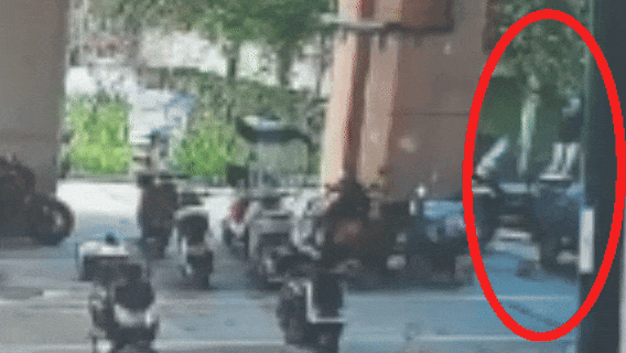 大快人心!龙湾轻轨站事件最新后续多人被抓!(图1)