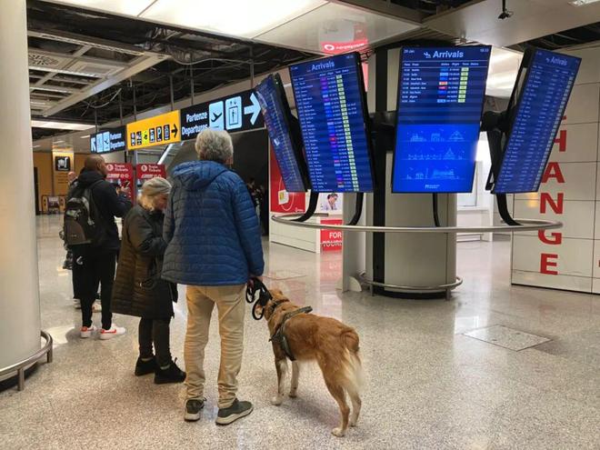 2026年开局不平静全意1月罢工时间表出炉(图1)